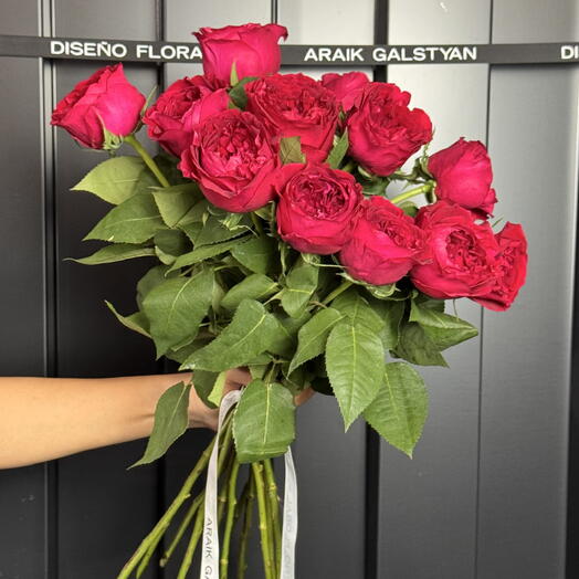 Rose rouge David Austin