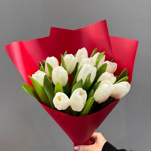 15 tulipanes blancos con papel rojo