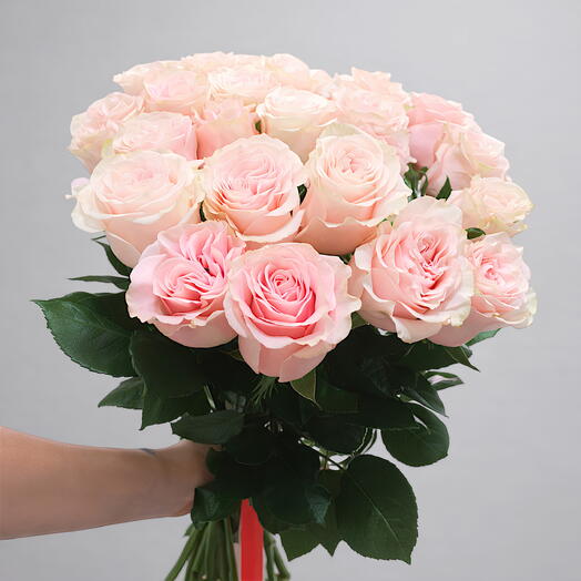 21 rosa (blanca y rosa)