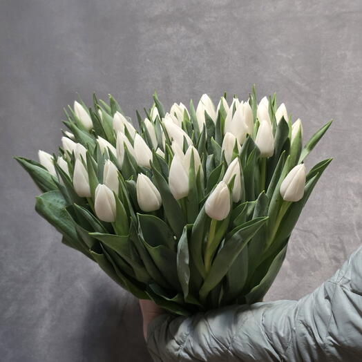 Ramo de 50 tulipanes blancos