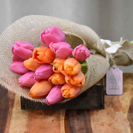 Pack 16 Tulipanes Dos Colores