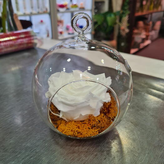 Rosa Blanca Eterna en Globo de Cristal