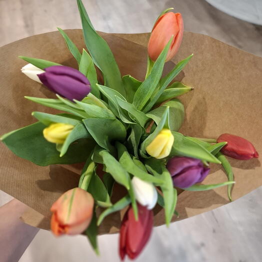 Тюльпан мультиколор