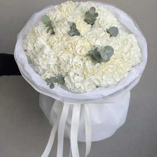 Hortensias blancas
