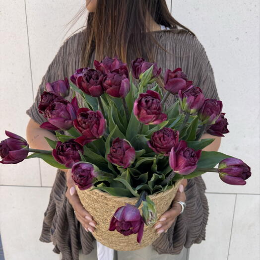 Mezcla de tulipanes púrpura intenso