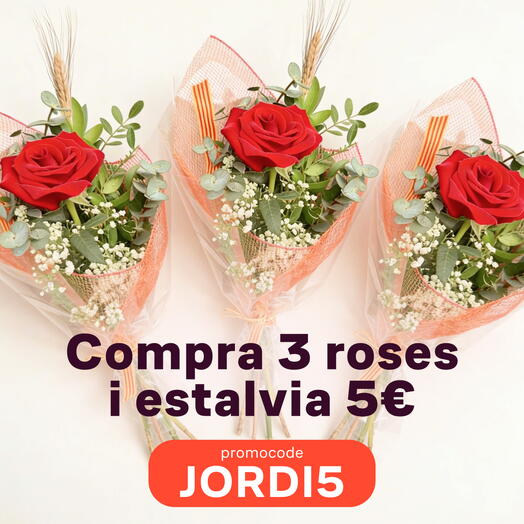 La princesa de San Jordi