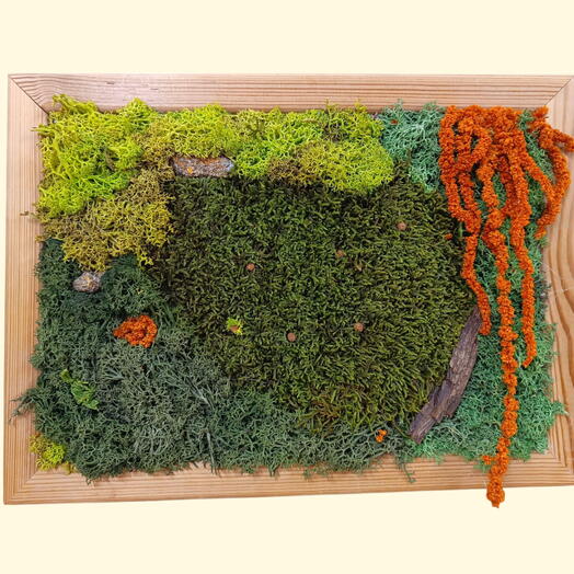 Jardin de plantas preservadas Verde y naranja