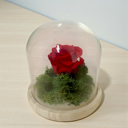 Rosa Preservada Roja en Cupula Petit Amor
