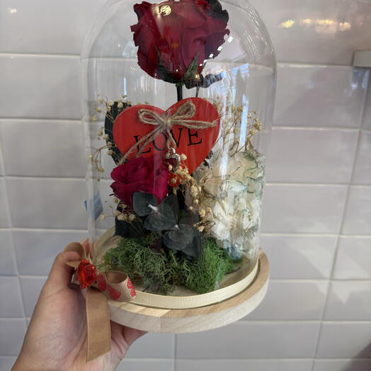 Cupula de rosas preservadas