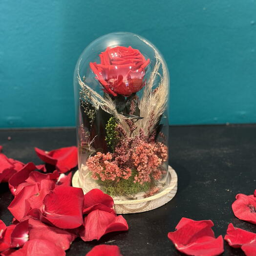 Rosa eterna roja - La bella y la bestia