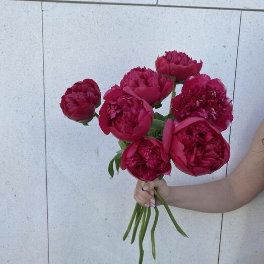 Blush Passion: 7 Red   Pink Peony