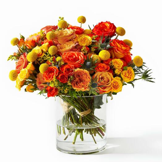 Sol de Capvespre🌼