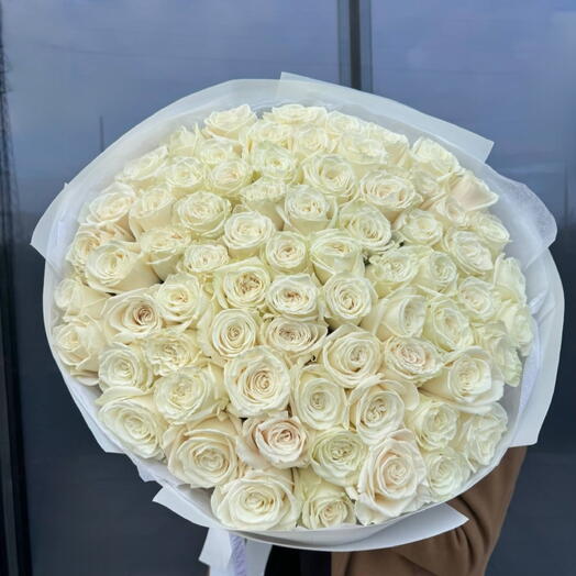 101 rosas blancas