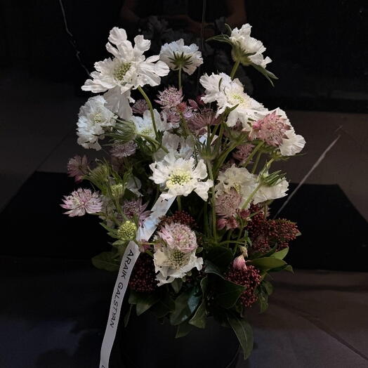 composicion de escabiosa blanca y astrantima rosa suave