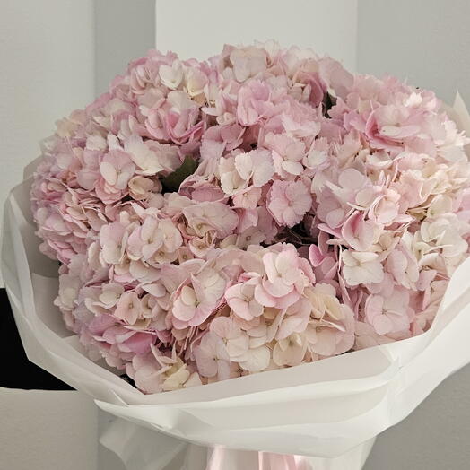 Pink dream