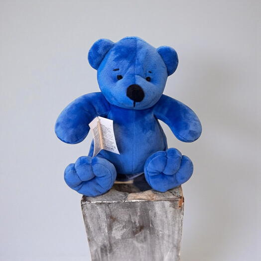 Blue plush toy