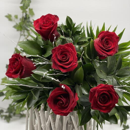 Scarlet Elegance