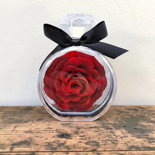 Rosa in bottle