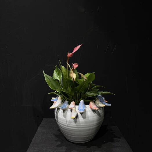 Jarron con Spathiphyllum