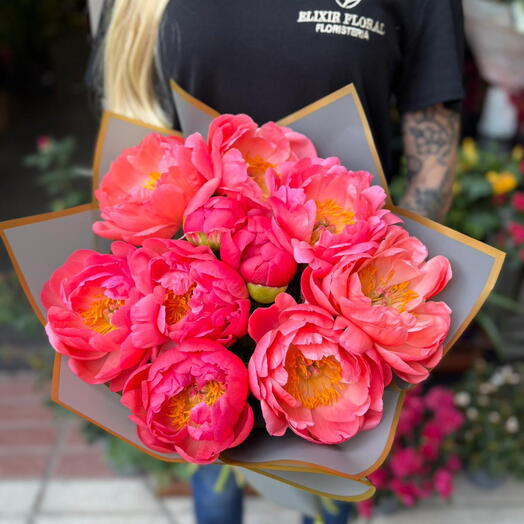 Elixir Peonies