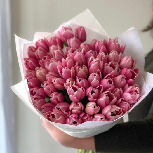 60 tulips rosados