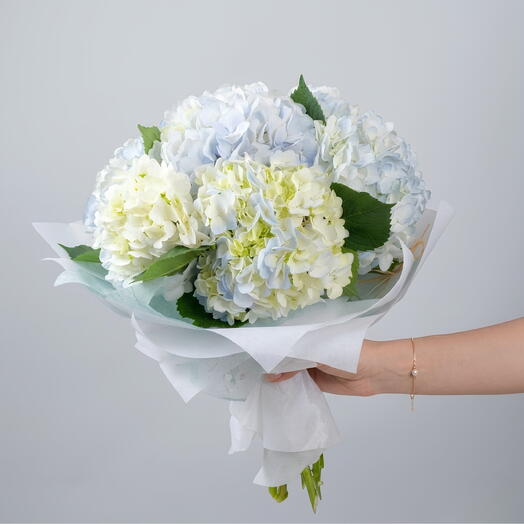 Hortensia de 7 tallos