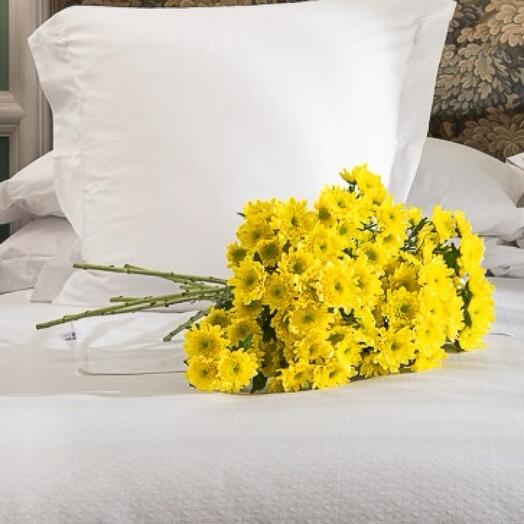 Bouquet of yellow daisies