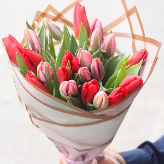 22 Tulipanes rosas y rojos