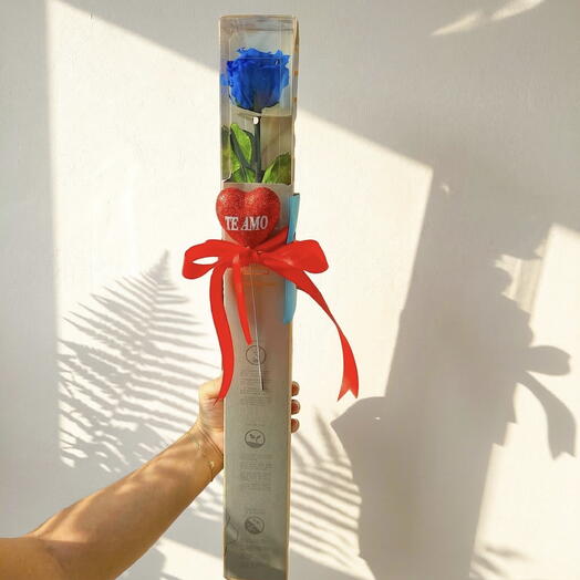 Rosa Preservada Azul en Caja – Amor Eterno en un Detalle Unico