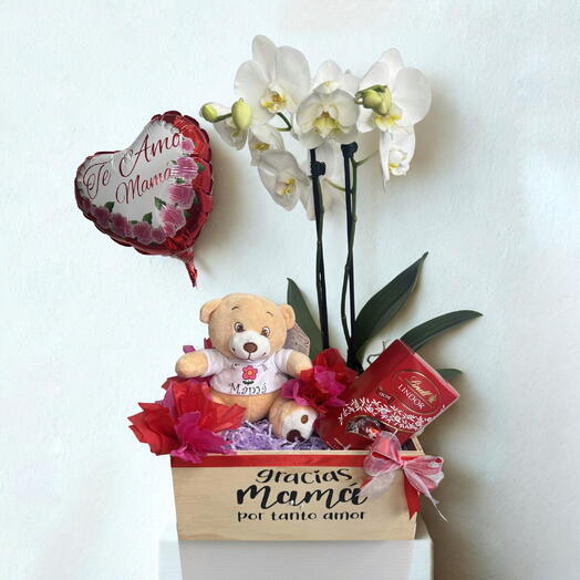 Mother's Day orchid box