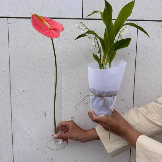 Anthurium y Lirio del Valle para el Dia de la Madre