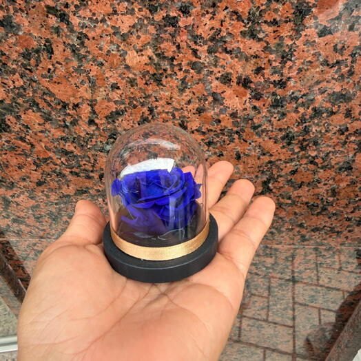 (Mini) rosa preservada Azul