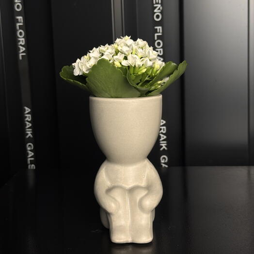 Kalanchoe en maceta gris decorativa con forma humanoide
