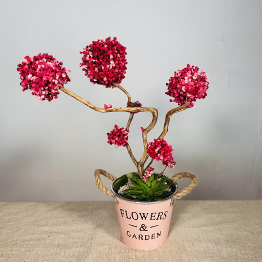 Decoración del hogar con bonsái de Sakura: exhibición única hecha a mano, inauguración de la casa, negocios, duradera, única