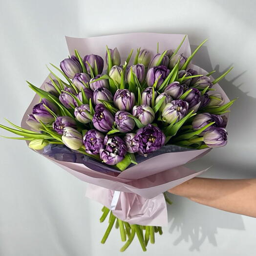 Ramo 50 Tulipanes Lila – Edicion Especial 8 Marzo Dia de la Mujer