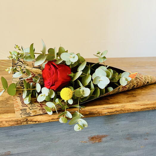 Rosa de Sant Jordi 🌹