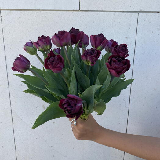 15 purple tulips