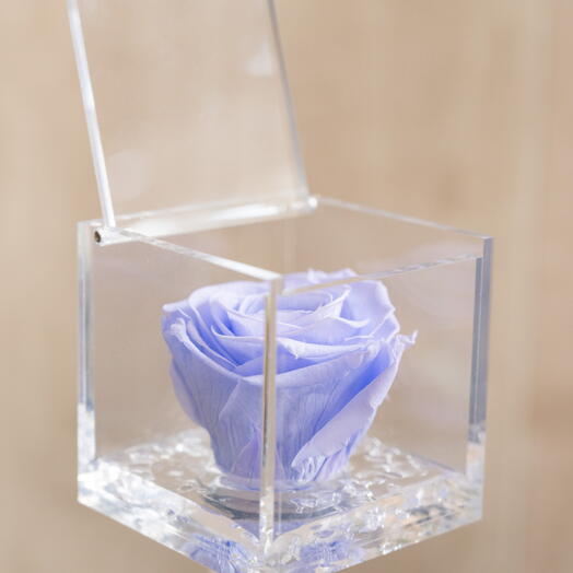 Flowercube