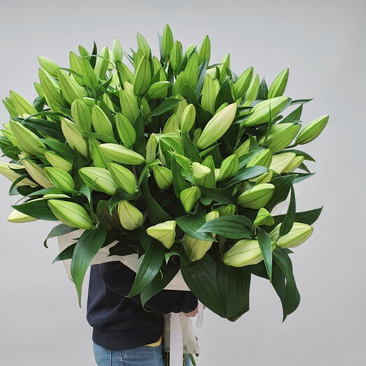 Ramo de 33 liliums