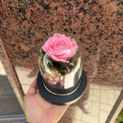 Rosa Preservada DIA DE LA MADRE Cupula mediana