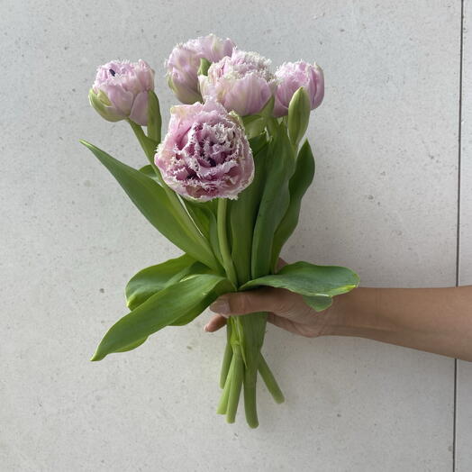 5 Tulips for Mom – Love in Every Petal