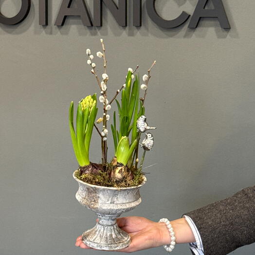 Primavera del tiempo