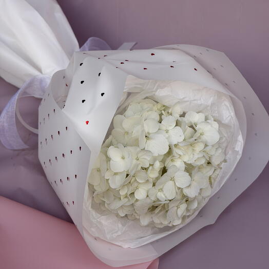 Hortensia Nube blanca S