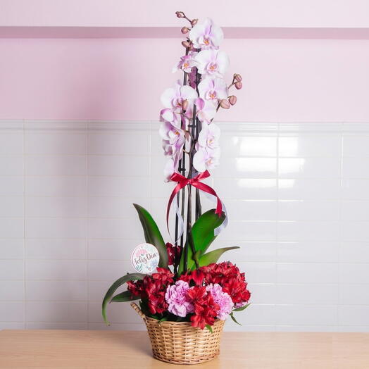 Elegance for Mom