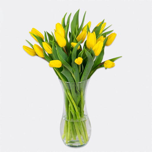 Tulips