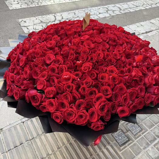 Ramo de 500 Rosas Rojas