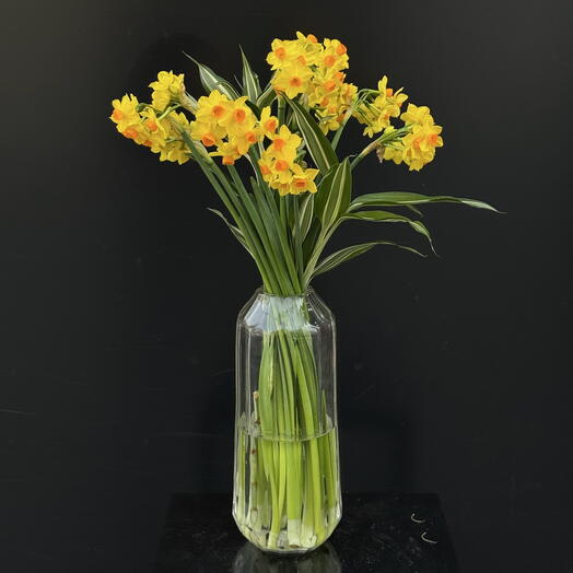 Vase avec des narcisses