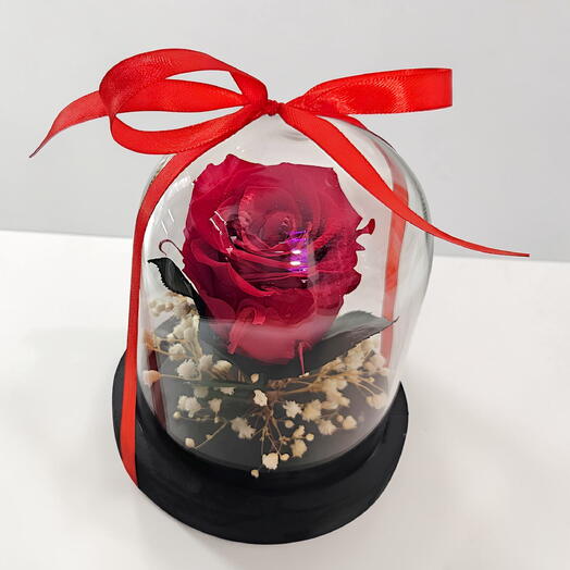 La bella y la bestia Roja (preservada)