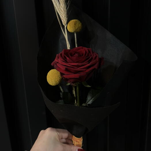 Rosa de San Jorge🌹