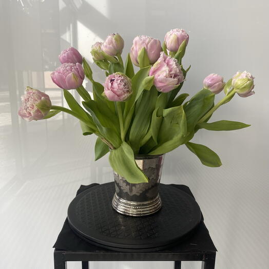 Spring Treasure: 13 Tulip Peony Plants with Antique Silver Pot — Mother's Day Special